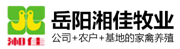 岳阳湘佳牧业有限公司-岳阳活鸡品种|岳阳冷鲜家禽|岳阳特色礼盒