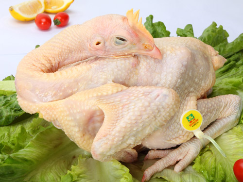 冬春季养肉鸡要注意什么